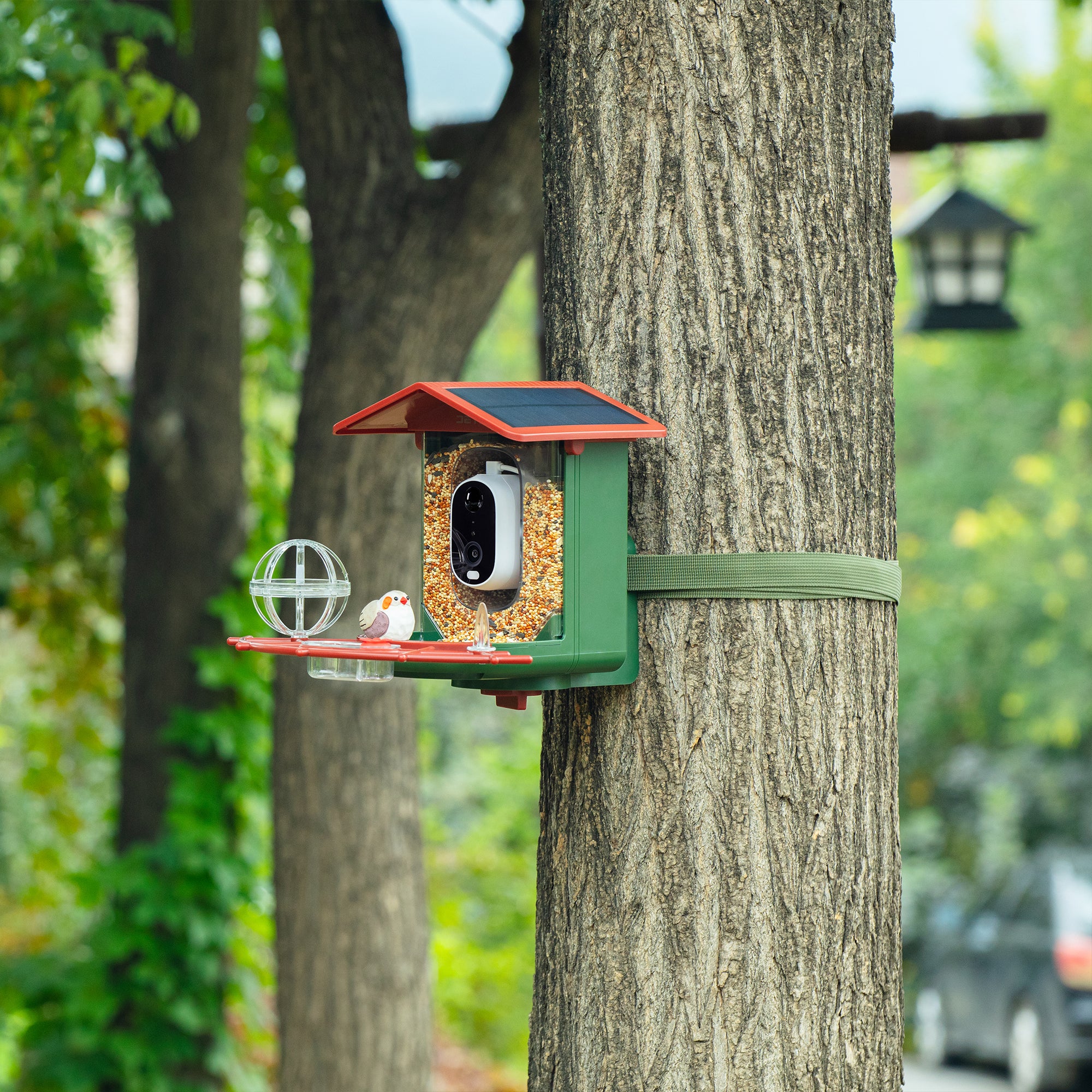 Smart Bird Feeder with Camera | 2K HD, 2800+ Bird AI Identification, Solar-Powered, Night Vision, Gift for Bird Enthusiasts