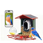 Smart Bird Feeder with Camera | 2K HD, 2800+ Bird AI Identification, Solar-Powered, Night Vision, Gift for Bird Enthusiasts